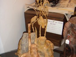 osso_14_20091030_1372683910