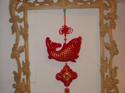 osso_15_20091030_1056263906